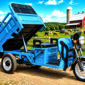 2026 SDLANCH IRET13 60V Electric Tricycle-Dump Bed- (BLUE COLOR)
