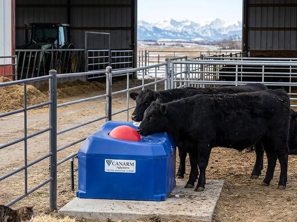 Canarm EF40C Energy Free Covered Poly Waterer