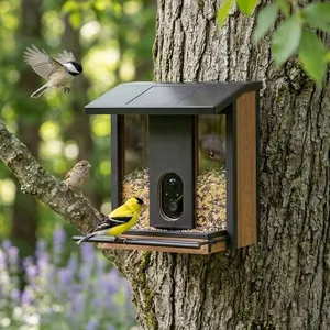 Evergreen Solar Camera Bird Feeder
