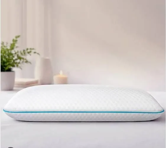 Martha Stewart Polyurethane Foam Pillow