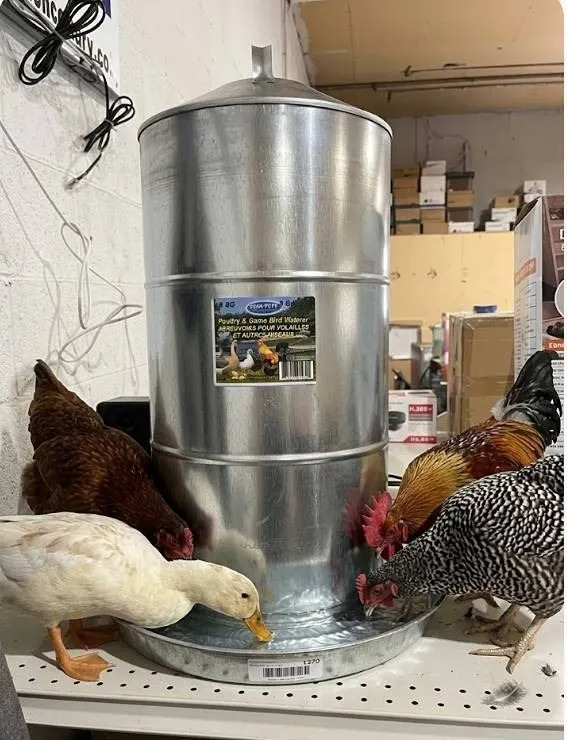 Farm-Tuff 8 Gallon Poultry & Game Bird Waterer