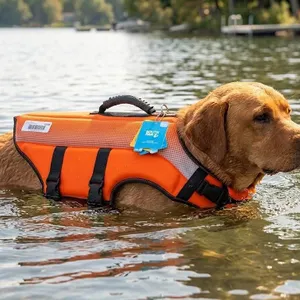 South Paw XL Dog Life Vest, Orange