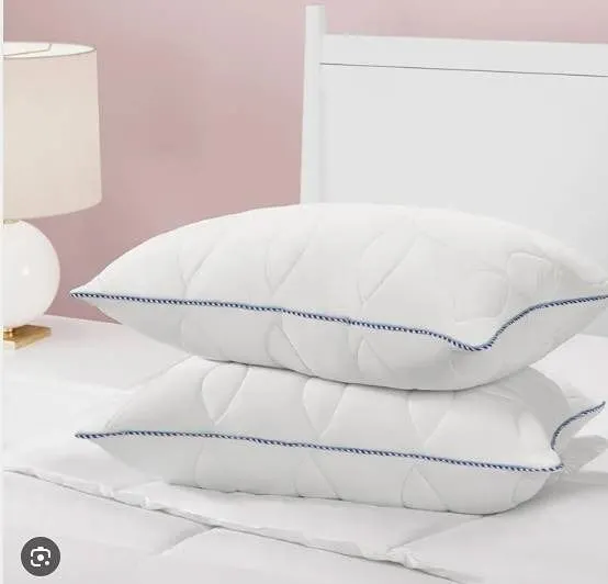 Kate Spade Queen Size Bed Pillows 2 Pack