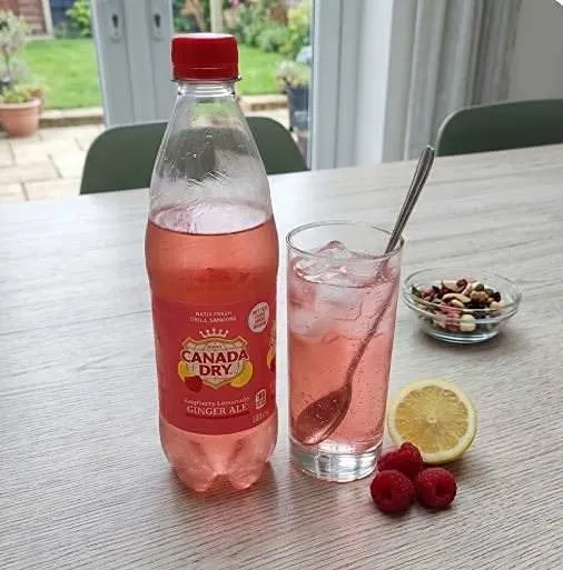 Canada Dry Raspberry Ginger Ale 500ml,Canada Dry Raspberry Ginger Ale 24x500ml