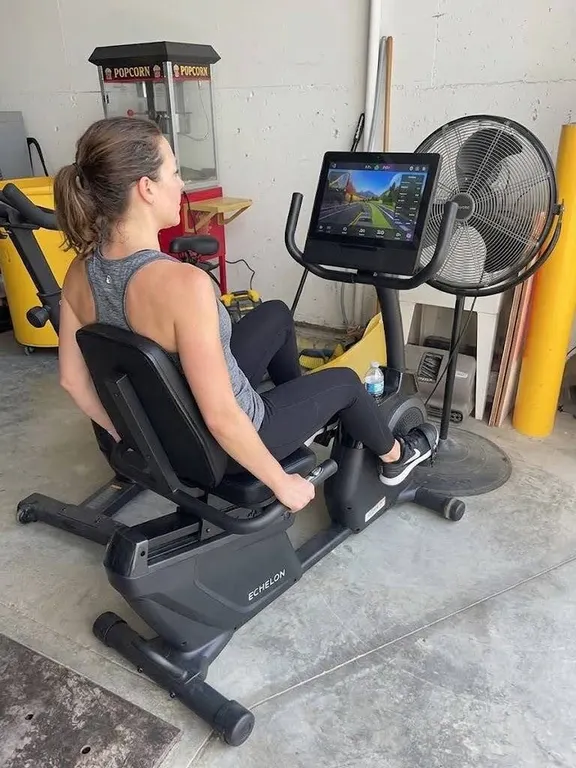 ProForm 325 CSX Recumbent Exercise Bike