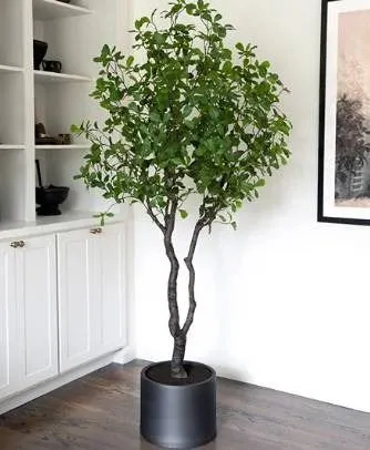 CGH Euonymus Tree 2m Lifelike Artificial Plant