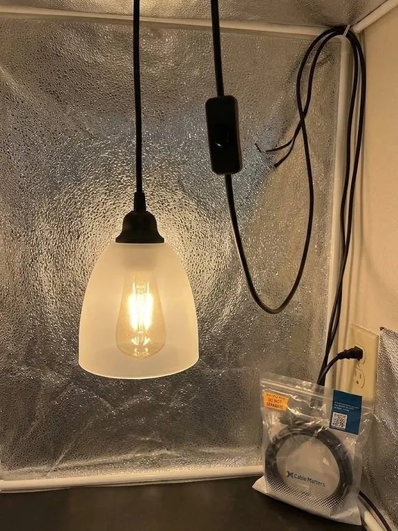 Cable Matters 2-Pack Hanging Lamp Cord 15ft
