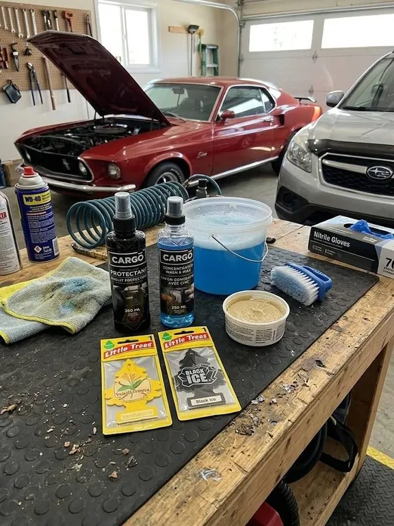 Car Cleaning Kit with Cargo Products and Air Fresheners