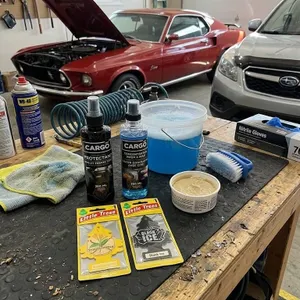 Car Cleaning Kit with Cargo Products and Air Fresheners