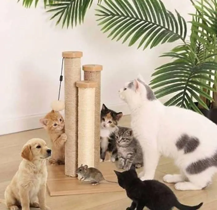 Amazon Basics Triple Cat Scratching Post