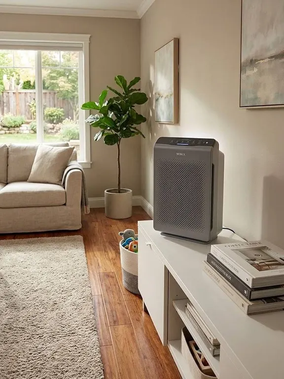 Winix C909 True HEPA Air Purifier 49m²
