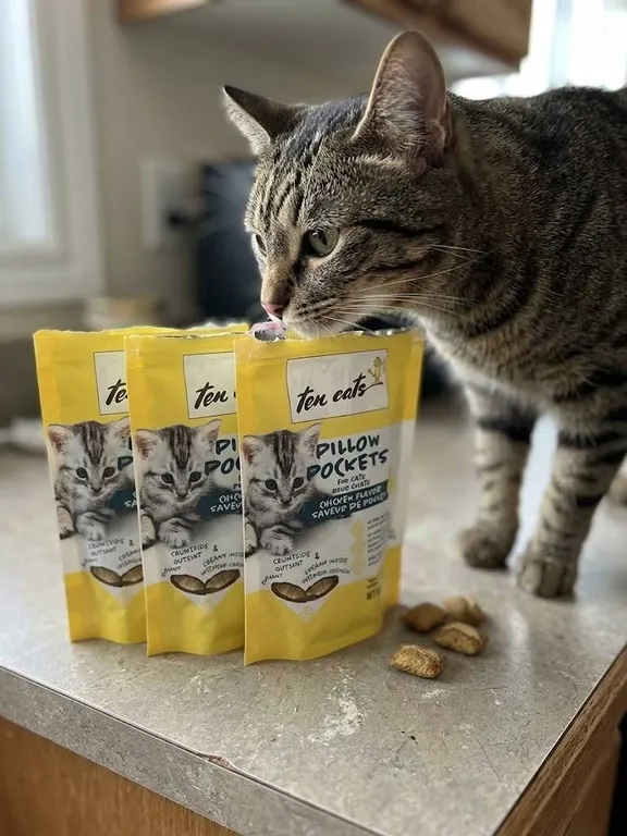 Ten Cats Pillow Pockets Chicken Flavor