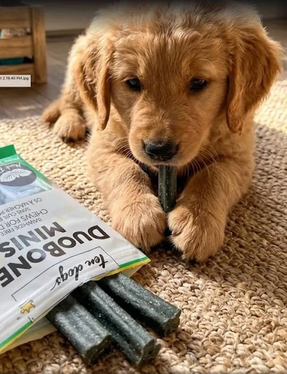 TenDogs DuoBones Minis Mint Flavor Dog Chews