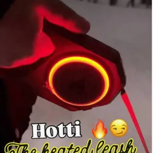 Hotti Heated Handle Dog Leash with Case