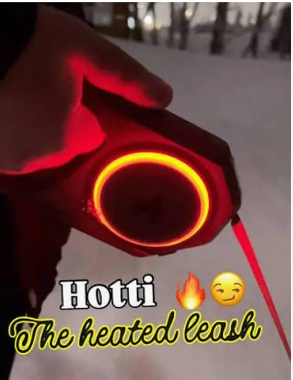 Hotti Heated Handle Dog Leash with Case