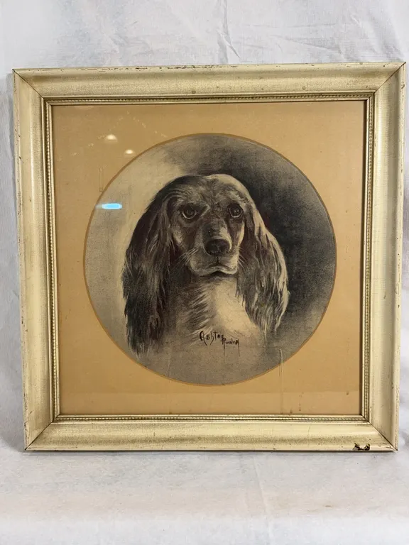 Spaniel Print