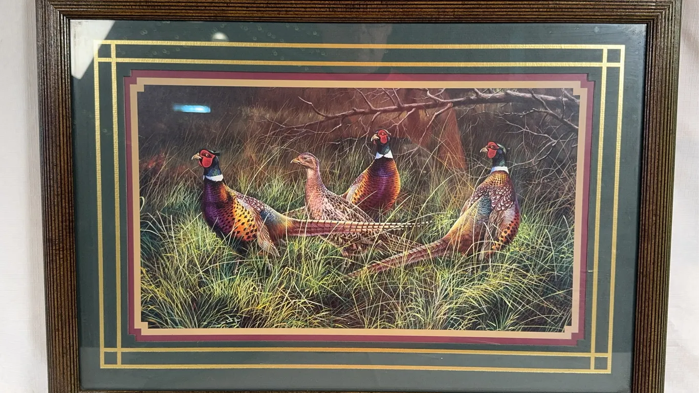 Covey of Pheasants Print
