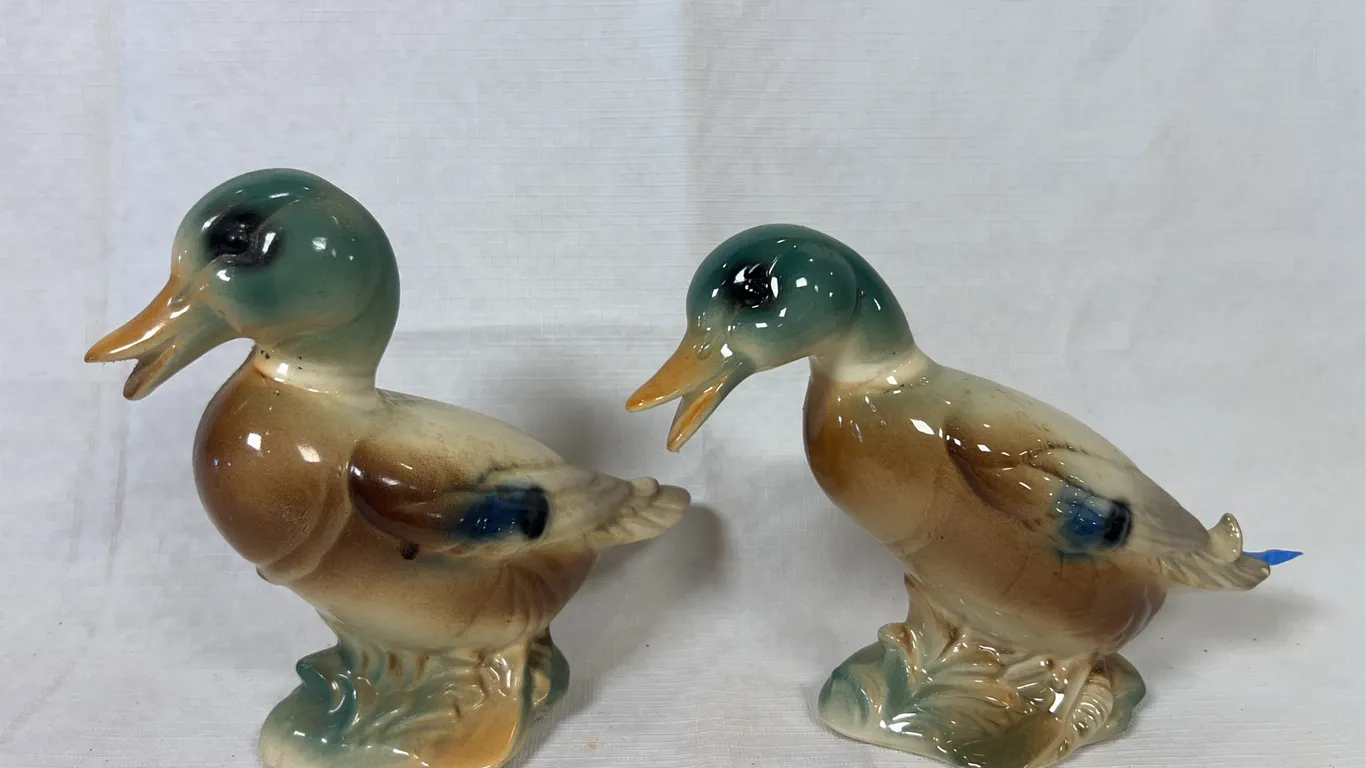Royal Copley Ducks