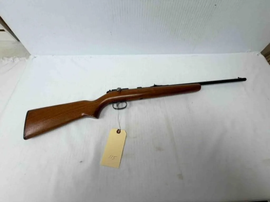 Remington Arms 514 22L-S LR Rifle