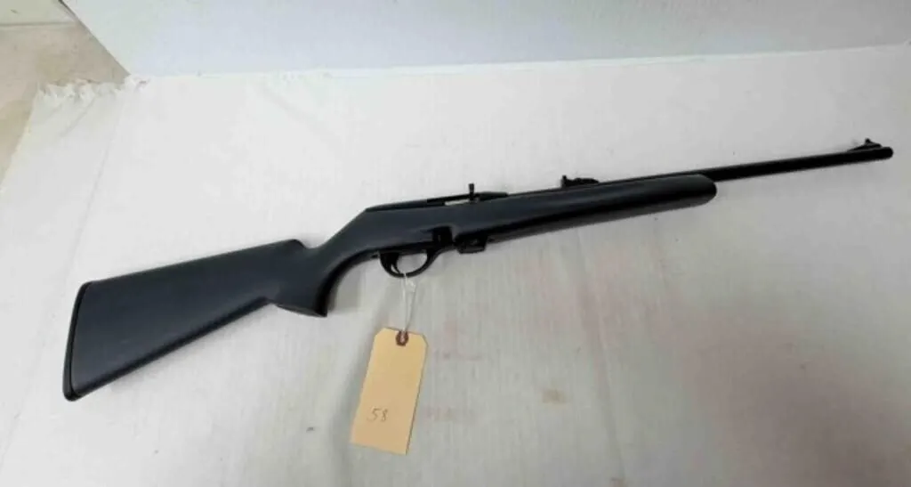 Remington 597 22LR Rifle