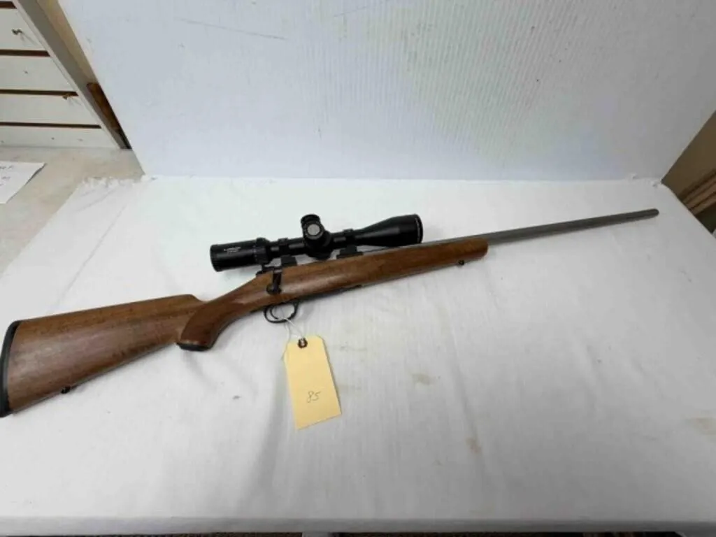 Kimber 84m Stainless 22-250 Rifle