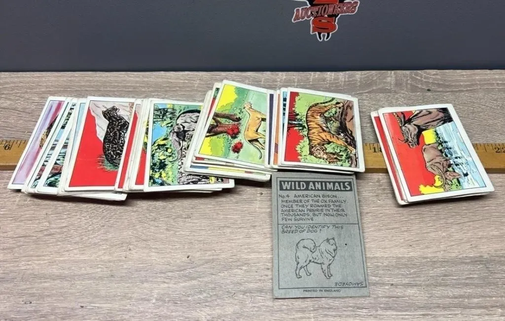 Vintage Wild Animal Collector Cards. Printed in