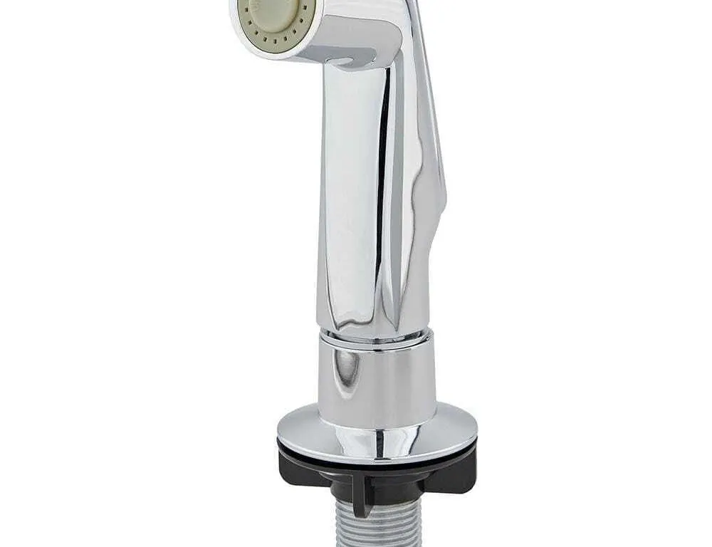 Everbilt Chrome Kitchen Side Spray