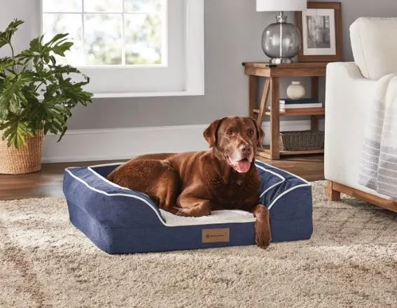 XL Sofa Pet Bed Blue