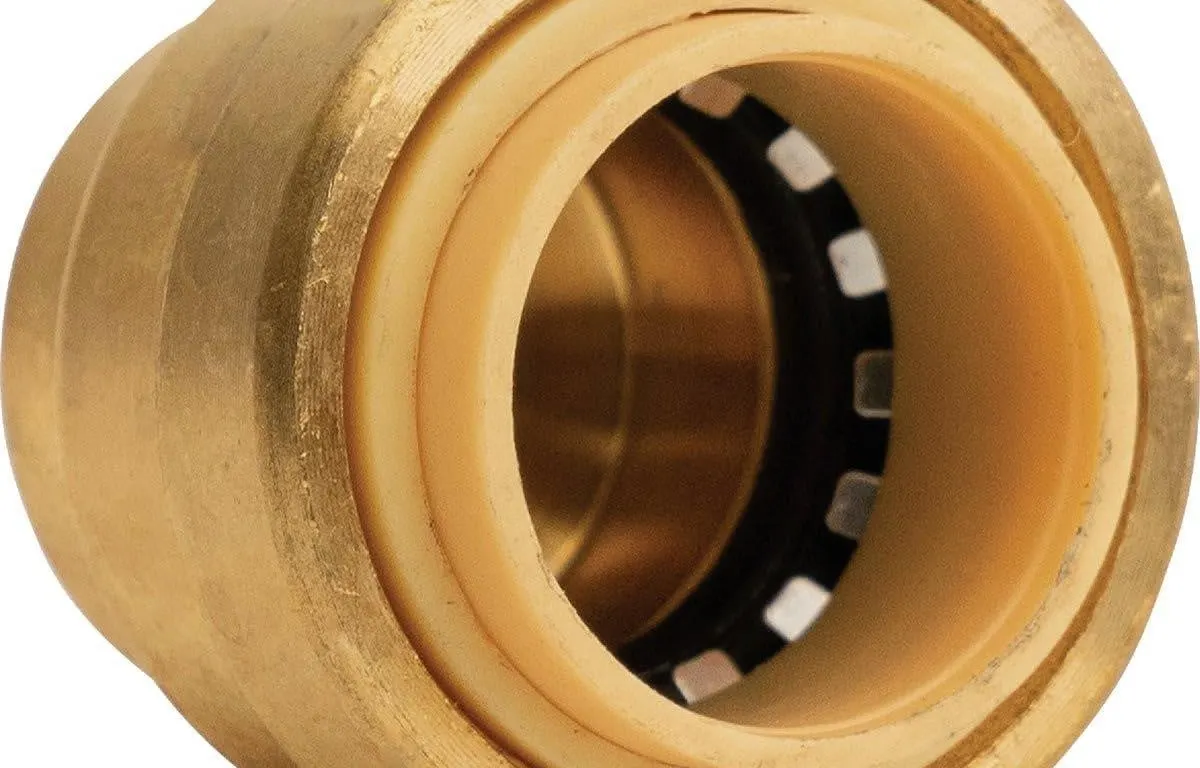 Pro Bite Lf816r Push Fitting Endcap 12