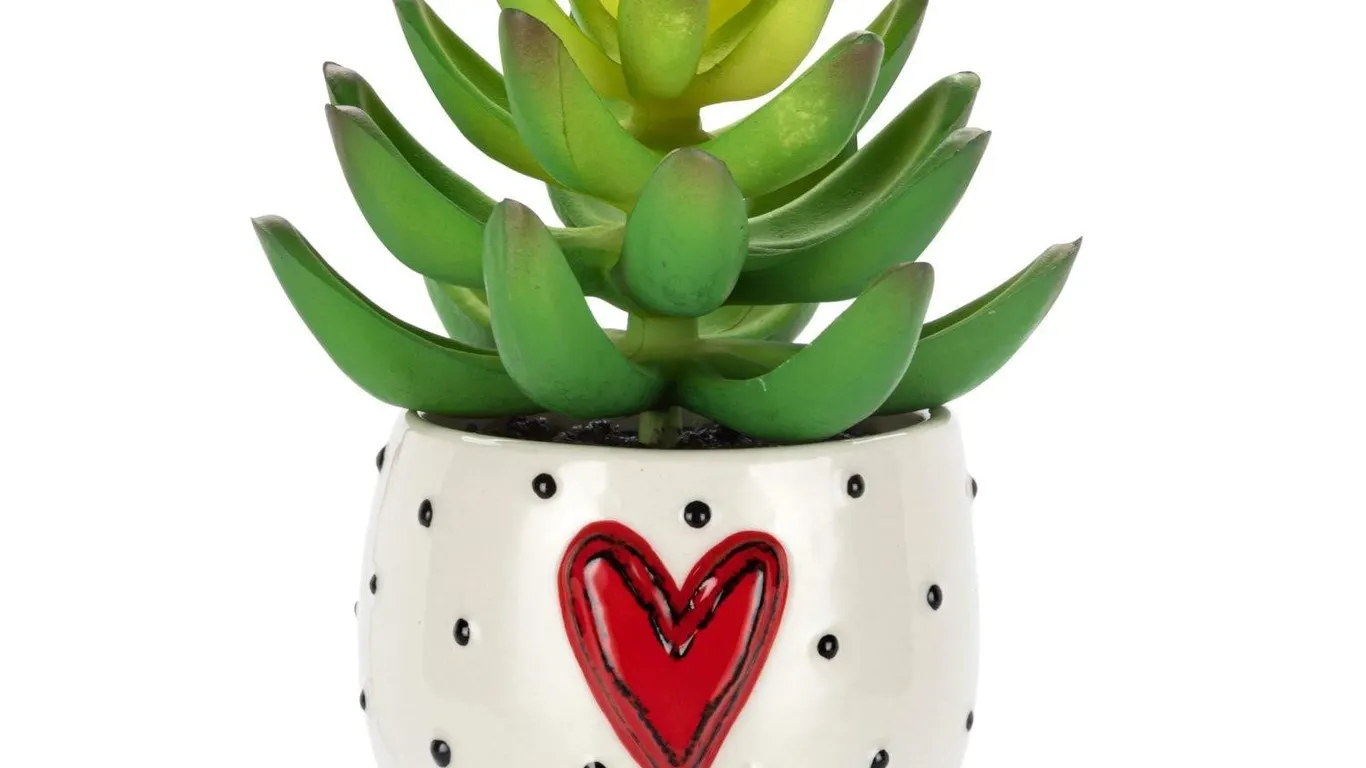 Demdaco Heartful Home Mini Succulent Heart Decor