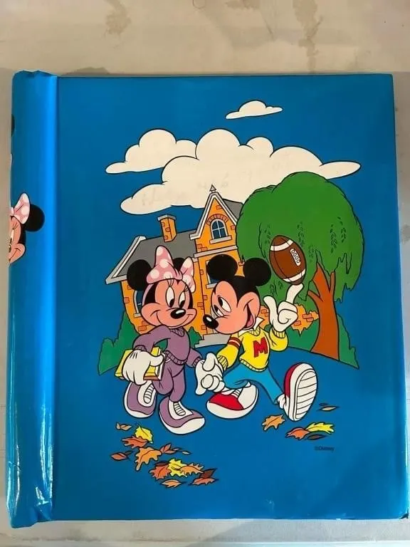 Disney hardcover book