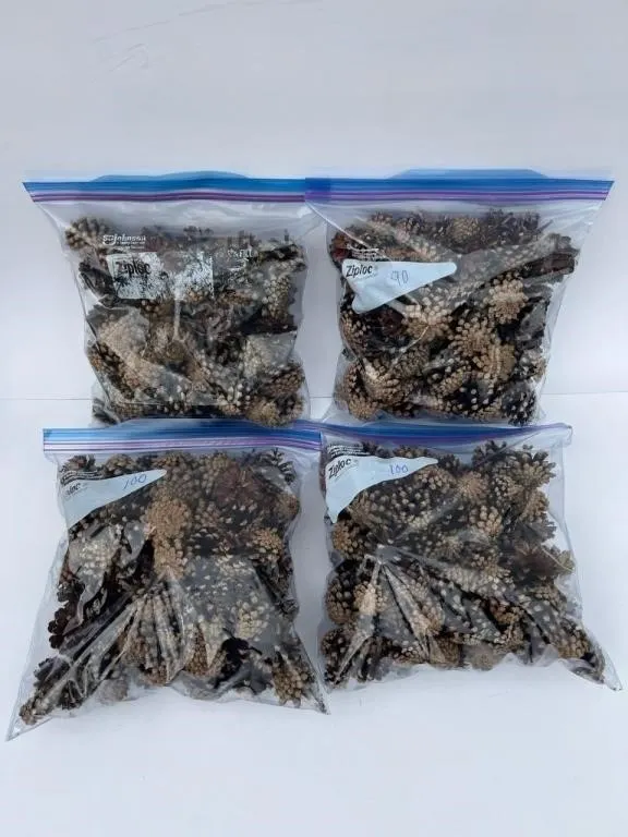 4 Bags of Pine Cones for Crafts