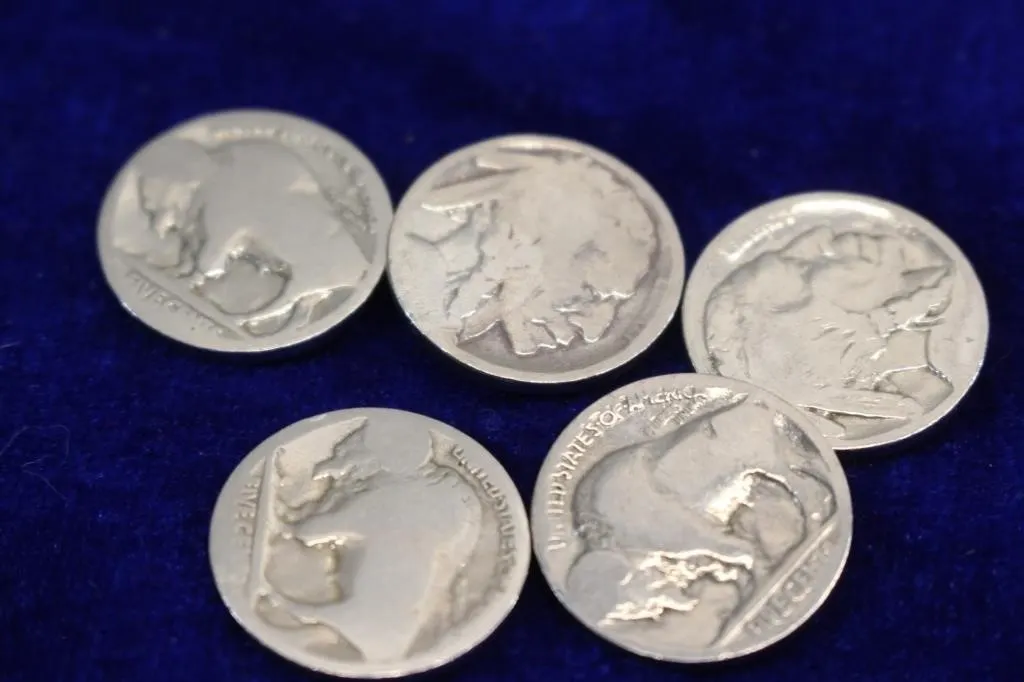 USA Buffalo Nickels (5)