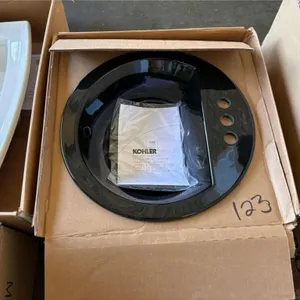 Kohler Sink