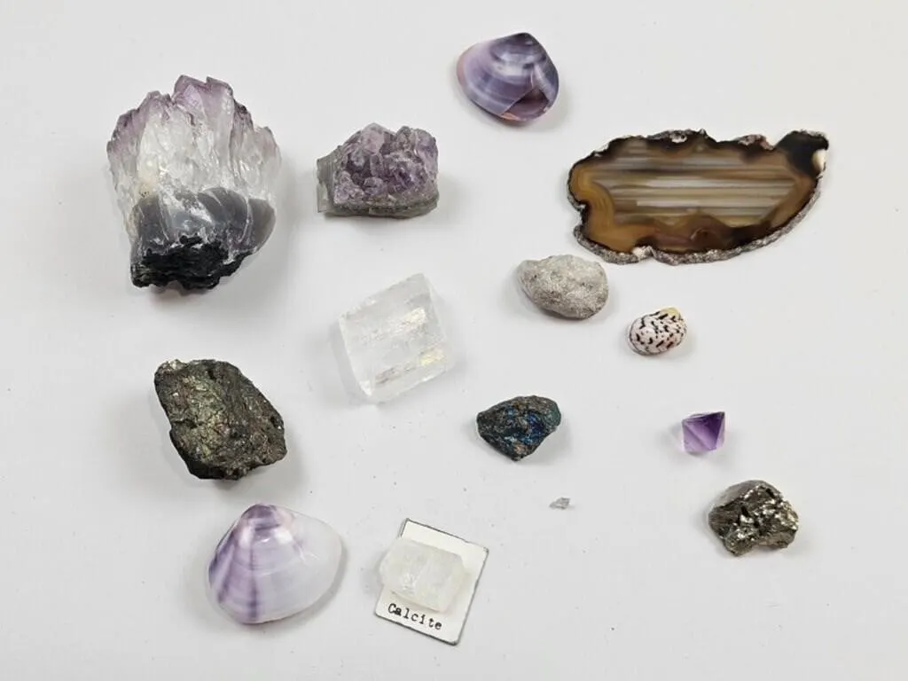 Mineral & Shell Specimen Collection (Lot of 14)