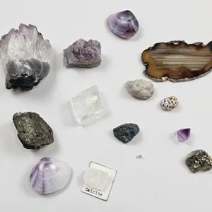 Mineral & Shell Specimen Collection (Lot of 14)