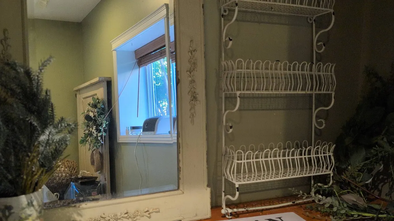 Decor Group: Wall Mirror, White Rack, Faux Plants, and Sign