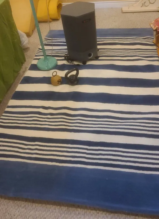 Adjustable Floor Lamp, Blue and White Area Rug, Amilcare Model 4000, 8 & 15lb Kettlebells