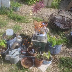 Outdoor Garden Decor and Planters Lot