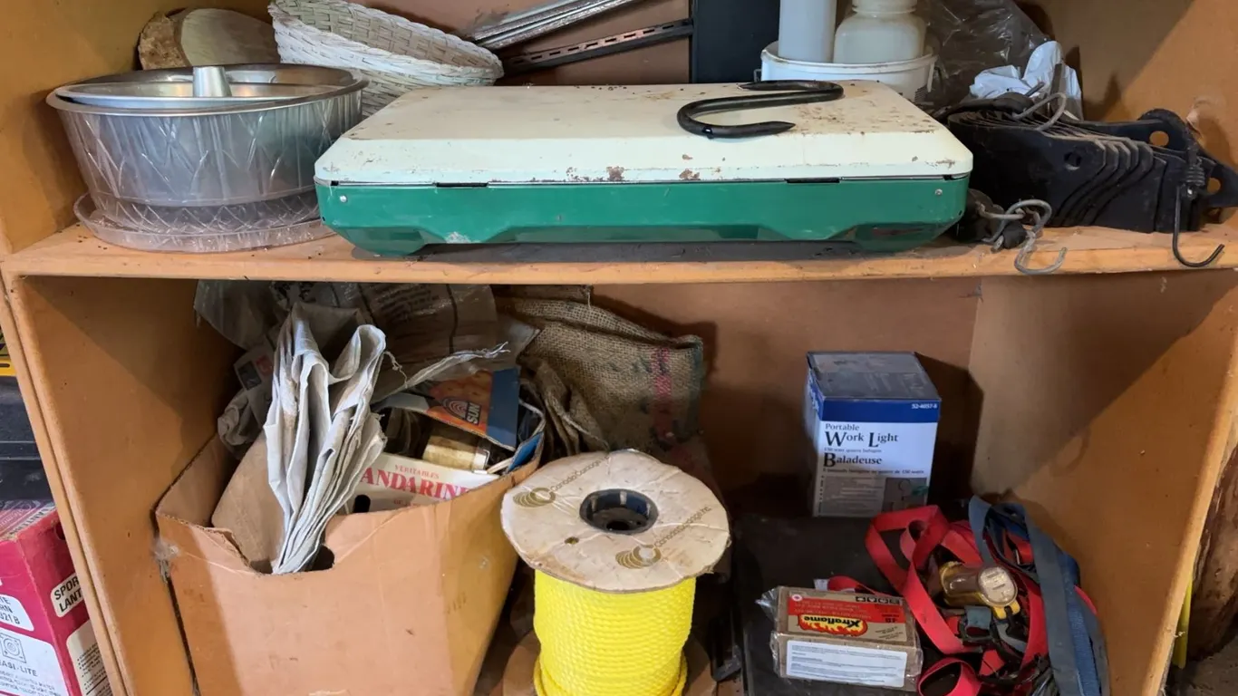 Coleman Camp Stove, Rope, Bungee Cords, and Tie-Down Straps Assortment