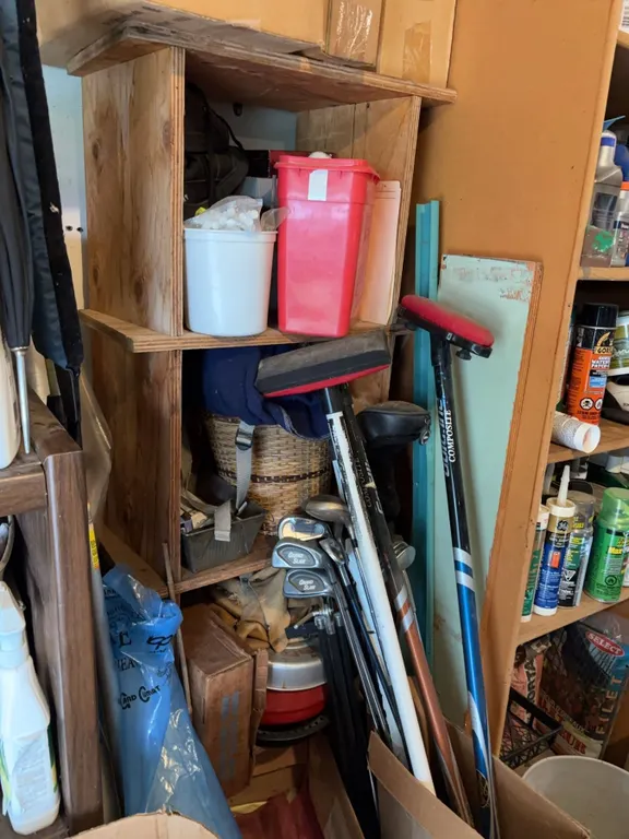 Sporting Lot: Golf Clubs, Curling Gear, Balls, Shoes