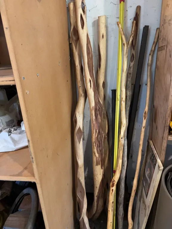 Large Selection of Handcrafted Walking Sticks with Cleaned Knots