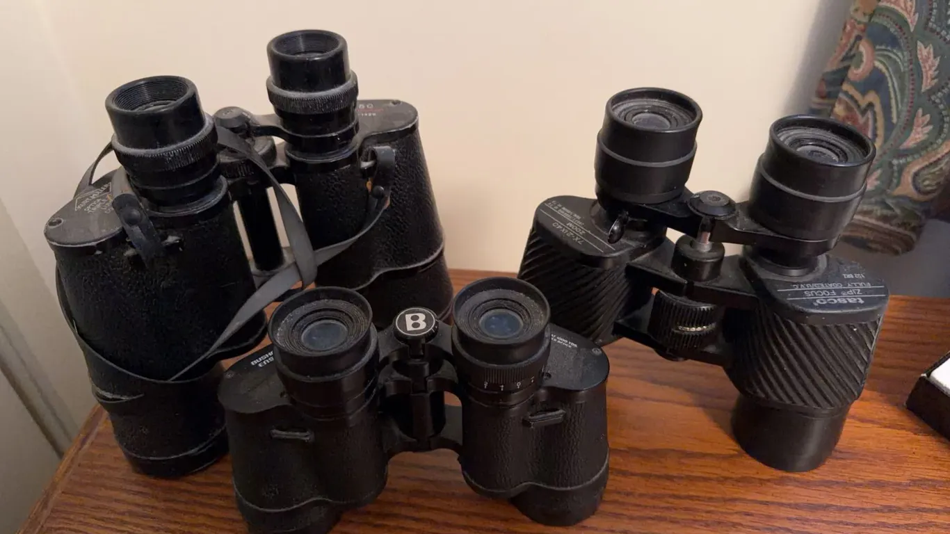 Three Binoculars: Bushnell, Hensoldt, and Nashica