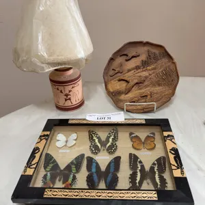 Decorative Butterfly Shadowbox, Carved Plate, and Lamp