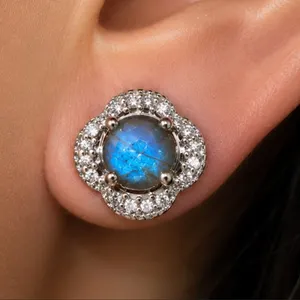 Silver(4.4g), Labradorite (1.4ct) Earring Retail value $300