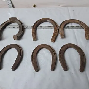 6 - Horseshoes