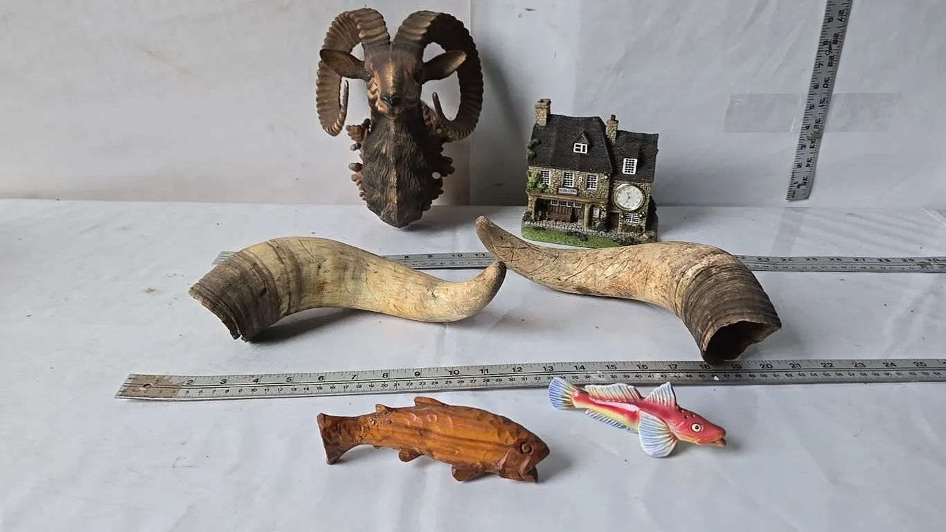 Ram Ornament & Cow Horns