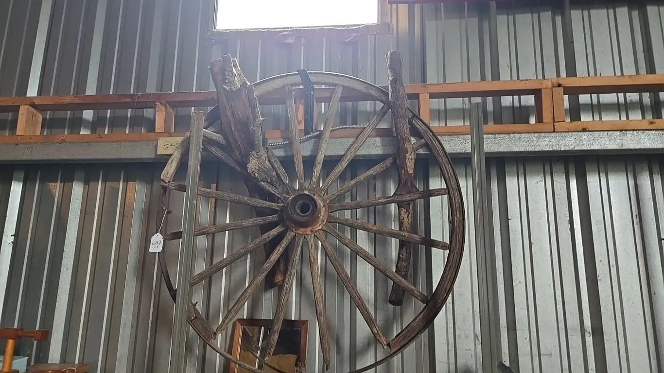 Wooden Wagon Wheel - w/ tree grown through