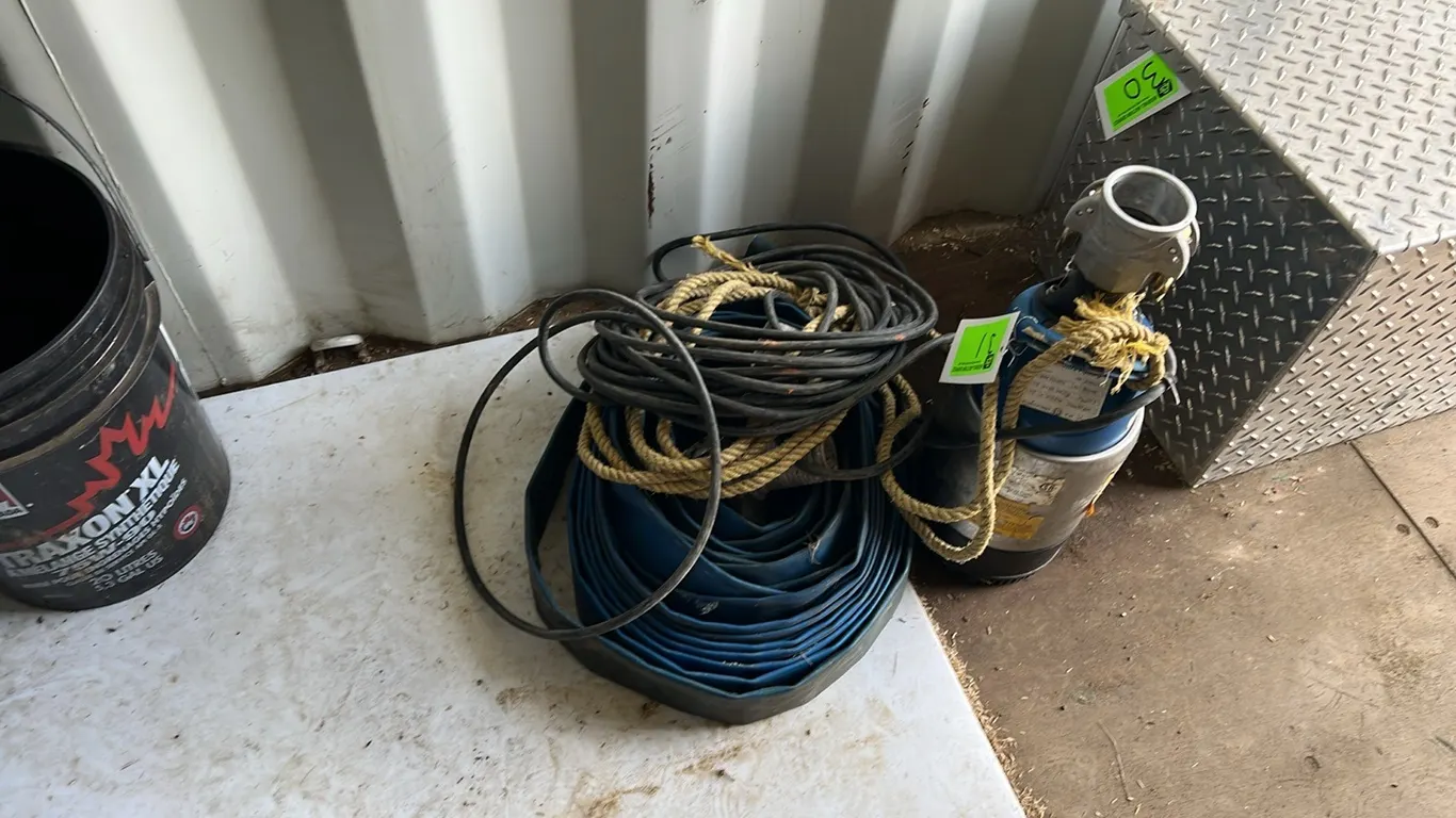 Goulds 2" Ditch Wizard Pump
