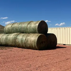 2nd Cutting Alfalfa Bales